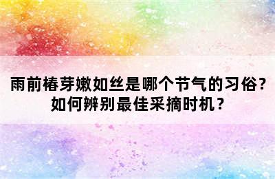 雨前椿芽嫩如丝是哪个节气的习俗？如何辨别最佳采摘时机？