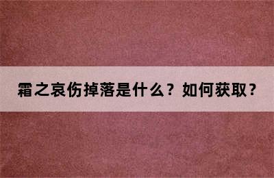 霜之哀伤掉落是什么？如何获取？