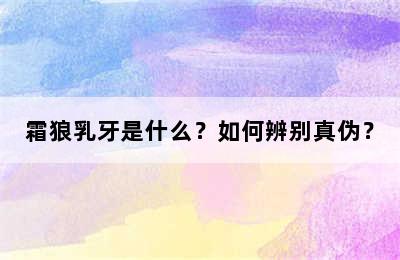 霜狼乳牙是什么？如何辨别真伪？