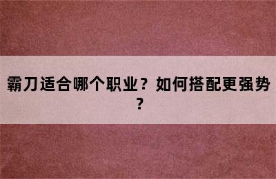 霸刀适合哪个职业？如何搭配更强势？