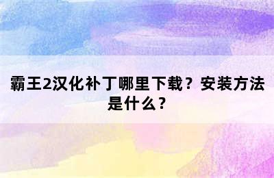 霸王2汉化补丁哪里下载？安装方法是什么？