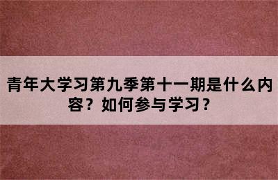 青年大学习第九季第十一期是什么内容？如何参与学习？