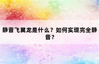 静音飞翼龙是什么？如何实现完全静音？