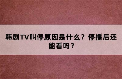 韩剧TV叫停原因是什么？停播后还能看吗？