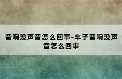 音响没声音怎么回事-车子音响没声音怎么回事