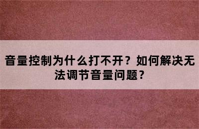 音量控制为什么打不开？如何解决无法调节音量问题？