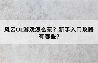 风云OL游戏怎么玩？新手入门攻略有哪些？