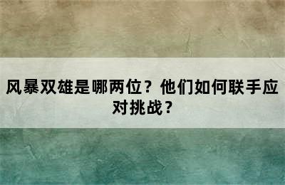 风暴双雄是哪两位？他们如何联手应对挑战？