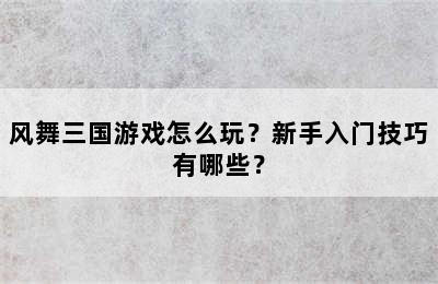 风舞三国游戏怎么玩？新手入门技巧有哪些？