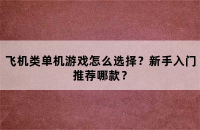 飞机类单机游戏怎么选择？新手入门推荐哪款？