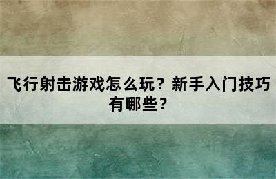 飞行射击游戏怎么玩？新手入门技巧有哪些？