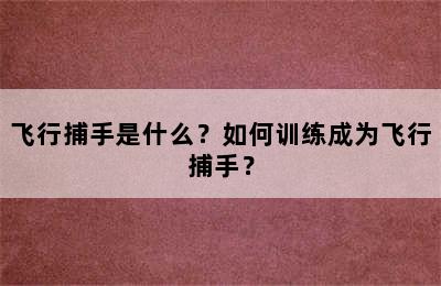 飞行捕手是什么？如何训练成为飞行捕手？