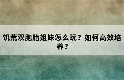 饥荒双胞胎姐妹怎么玩？如何高效培养？