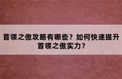 首领之傲攻略有哪些？如何快速提升首领之傲实力？