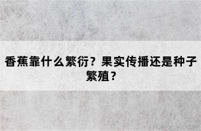 香蕉靠什么繁衍？果实传播还是种子繁殖？