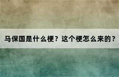 马保国是什么梗？这个梗怎么来的？