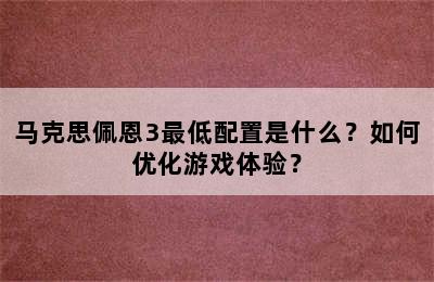 马克思佩恩3最低配置是什么？如何优化游戏体验？