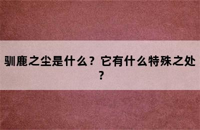 驯鹿之尘是什么？它有什么特殊之处？