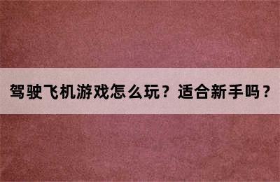 驾驶飞机游戏怎么玩？适合新手吗？