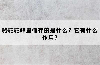 骆驼驼峰里储存的是什么？它有什么作用？