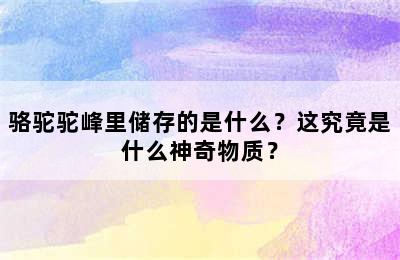 骆驼驼峰里储存的是什么？这究竟是什么神奇物质？