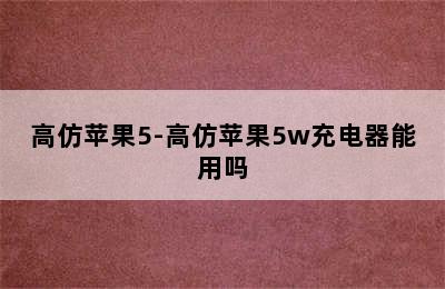 高仿苹果5-高仿苹果5w充电器能用吗