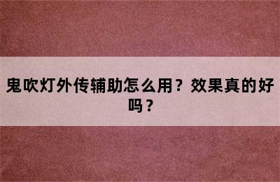 鬼吹灯外传辅助怎么用？效果真的好吗？