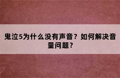 鬼泣5为什么没有声音？如何解决音量问题？