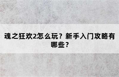 魂之狂欢2怎么玩？新手入门攻略有哪些？