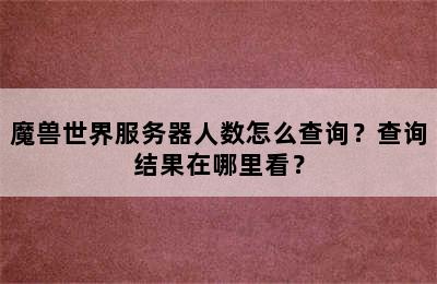 魔兽世界服务器人数怎么查询？查询结果在哪里看？