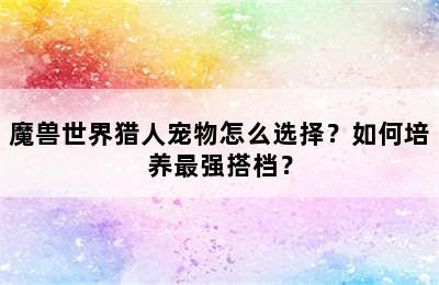 魔兽世界猎人宠物怎么选择？如何培养最强搭档？