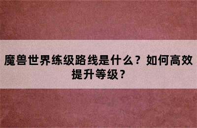 魔兽世界练级路线是什么？如何高效提升等级？