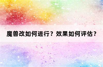 魔兽改如何进行？效果如何评估？