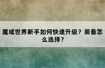 魔域世界新手如何快速升级？装备怎么选择？