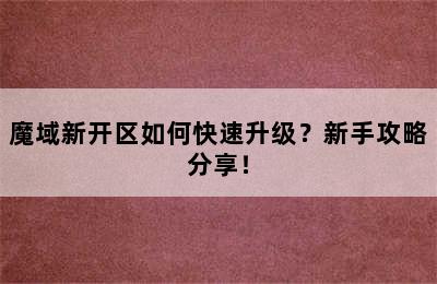 魔域新开区如何快速升级？新手攻略分享！