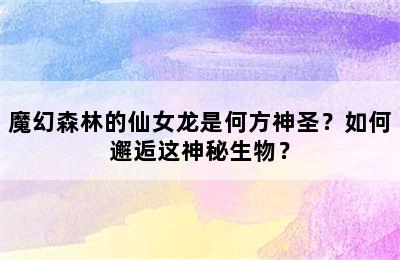 魔幻森林的仙女龙是何方神圣？如何邂逅这神秘生物？