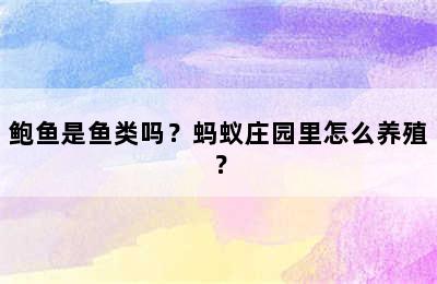 鲍鱼是鱼类吗？蚂蚁庄园里怎么养殖？