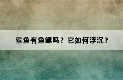 鲨鱼有鱼鳔吗？它如何浮沉？