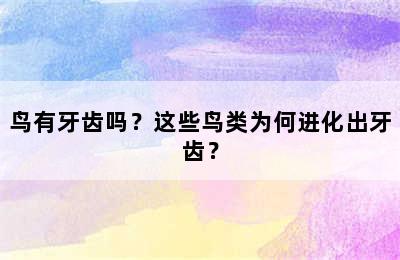 鸟有牙齿吗？这些鸟类为何进化出牙齿？