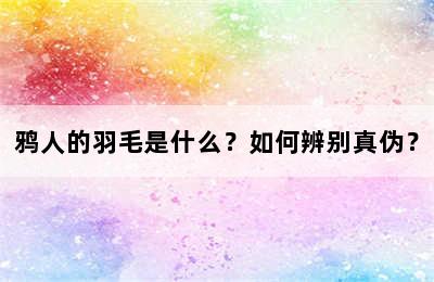 鸦人的羽毛是什么？如何辨别真伪？