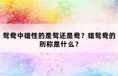 鸳鸯中雄性的是鸳还是鸯？雄鸳鸯的别称是什么？