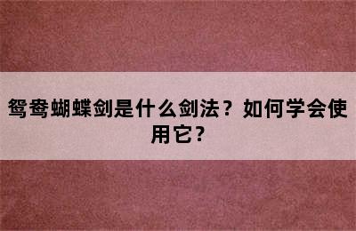 鸳鸯蝴蝶剑是什么剑法？如何学会使用它？