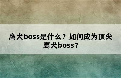 鹰犬boss是什么？如何成为顶尖鹰犬boss？