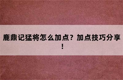 鹿鼎记猛将怎么加点？加点技巧分享！