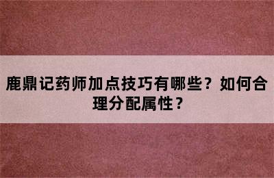 鹿鼎记药师加点技巧有哪些？如何合理分配属性？