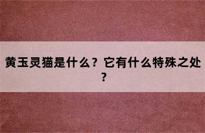 黄玉灵猫是什么？它有什么特殊之处？