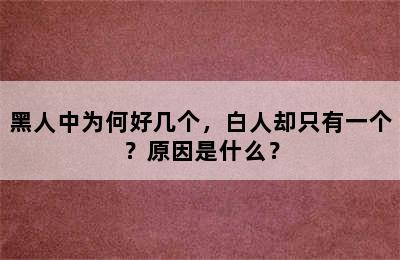 黑人中为何好几个，白人却只有一个？原因是什么？