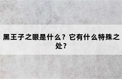 黑王子之眼是什么？它有什么特殊之处？