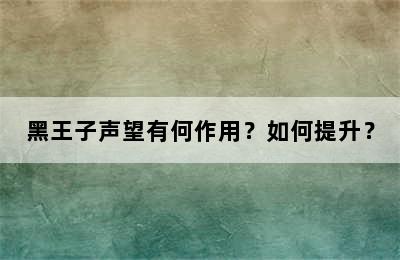 黑王子声望有何作用？如何提升？