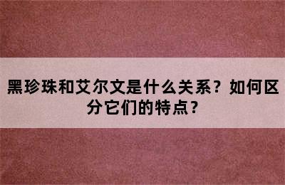 黑珍珠和艾尔文是什么关系？如何区分它们的特点？